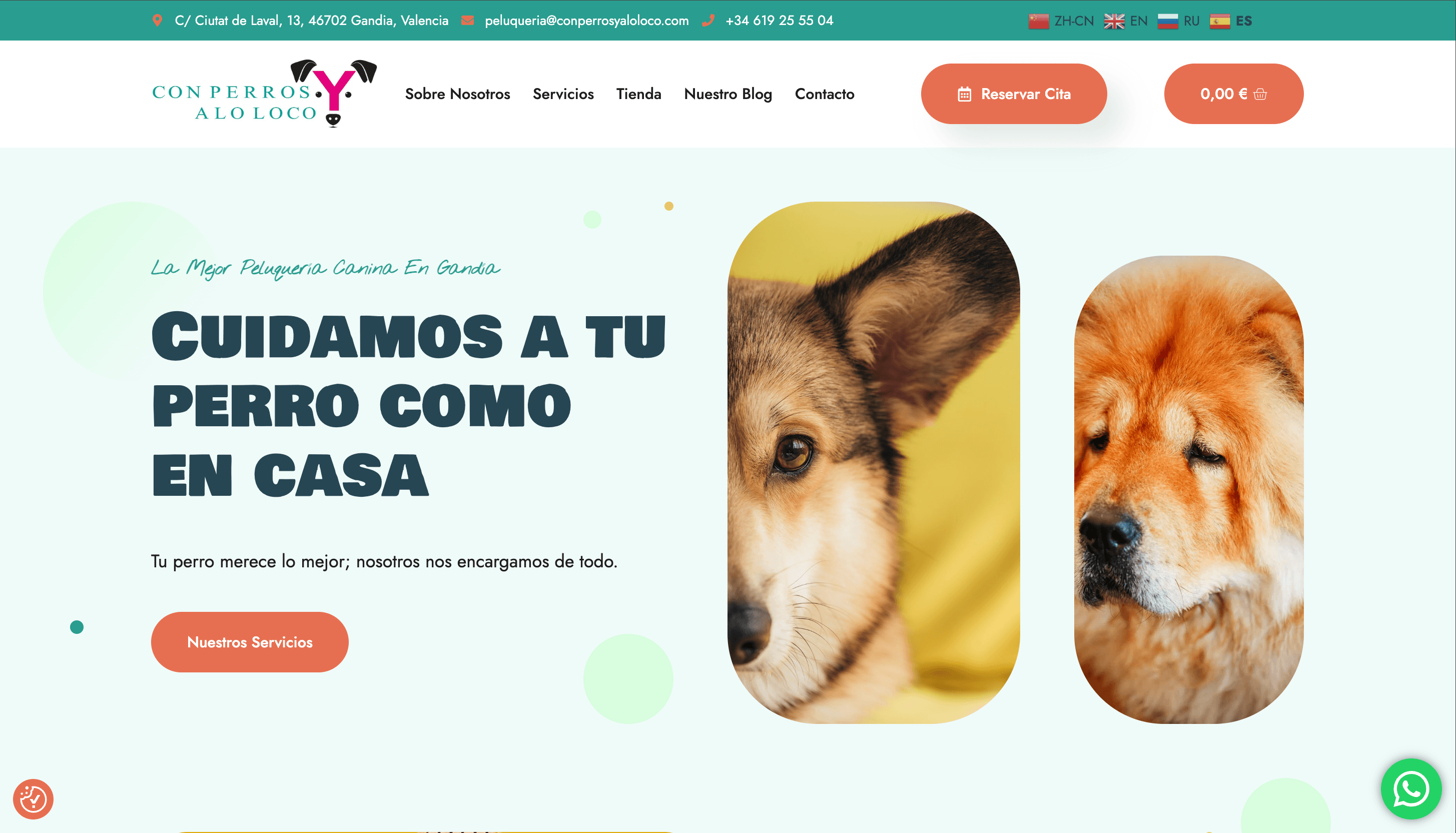 Con Perros y a lo Loco